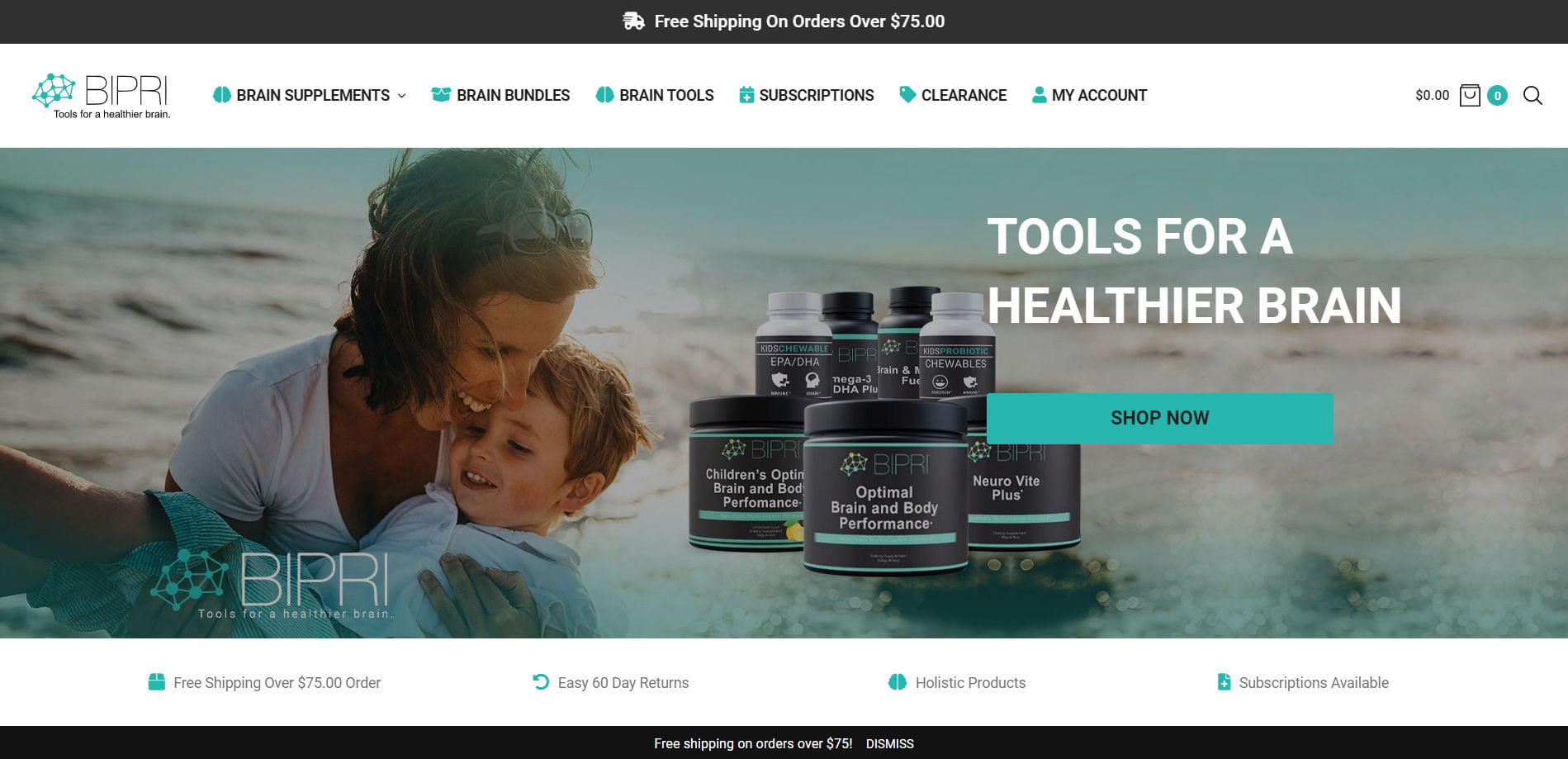 BIPRI Website designed by Bear Web Design