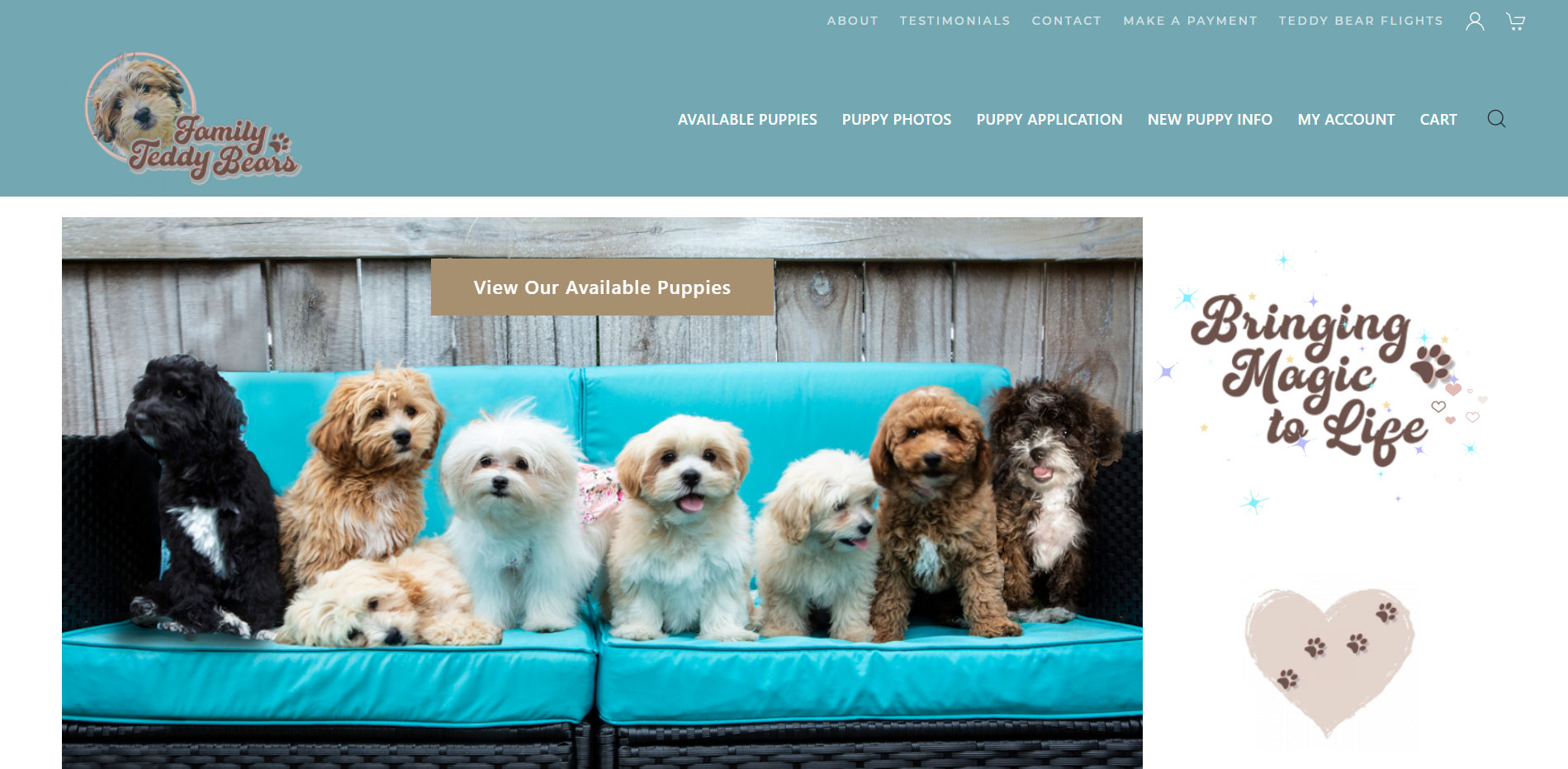Family Teddy Bear Website Designed by Bear Web Design