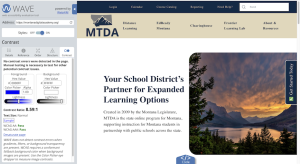 website accessibility testing showing WCAG compliant contrast and readable design