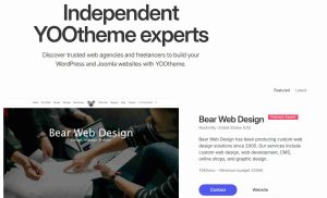 Yootheme Builder - Bear Web Design - Premium Expert