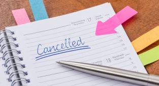 Daily planner with the entry cancelled for project cancellation policy